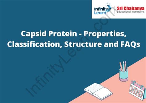 Capsid Protein - Properties, Classification, Structure and …