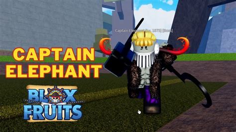 Today, we’ll show you how to find Captain Elephant in Blox Fruits. Captain Elephant’s Location in Blox Fruits. If it wasn’t already clear, Captain Elephant is located within the Third Sea .... 