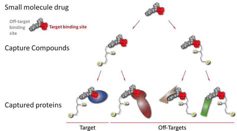 Capture Compound® Mass Spectrometry for Target Deconvolution