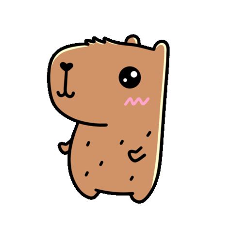 Capybara Capi Sticker by Capivarinha for iOS & Android GIPHY