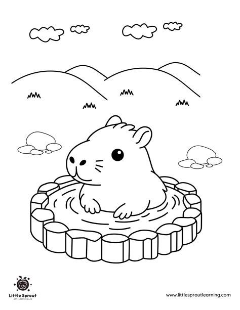 Capybara Coloring Shee