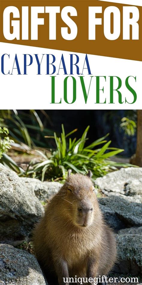 Capybara gifts. Do you have a foodie in your life who’s impossible to shop for? You know, the one who already has everything or is just picky about what they eat? Well, never fear! We’ve put toget... 
