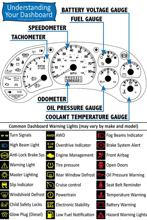 Car instrument panel gauges labeling guide. - Shop manual 91 yamaha 500 waverunner.