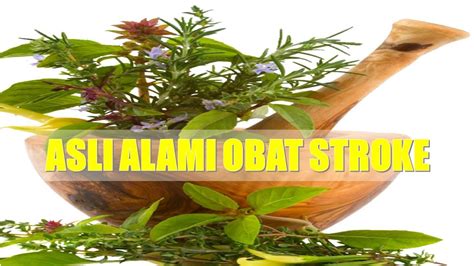 Cara Alami Obati Stroke - apkcara.com