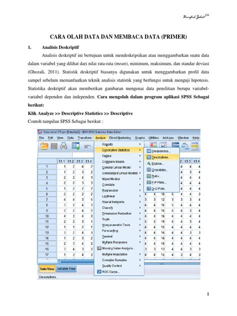 Cara Mengolah Data Spss