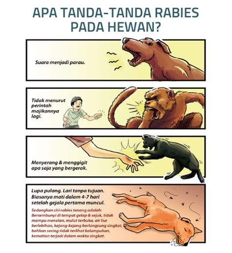 Cara Penularan Rabies dari Manusia ke Manusia, Apakah …