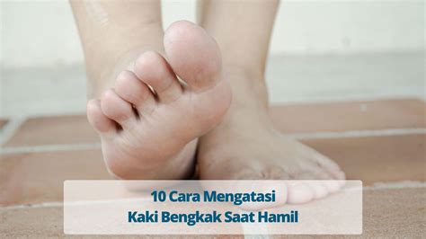 Apa itu sex barbar