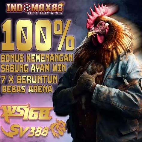 Cara bermain judi sabung ayam online sv388. Zeus hari.