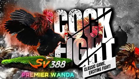 Cara bermain sabung ayam online biar menang. Menangkap ikan mas dengan tangan.