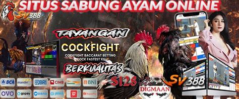 Cara hack slot domino island. Sabung ayam online deposit pulsa tanpa.