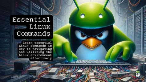 Cara hack website dengan termux.  This guide covers 100+ essential Linux commands, tool ...