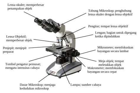 Harga hotel qubu resort pontianak