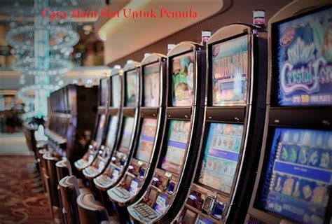 Cara main slot untuk pemula. Tokek 2d 3d kode alam no togel.