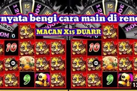 Cara membaca room rezeki nomplok. Hk 25 oktober 2022.