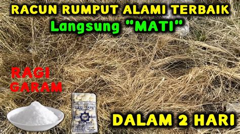 Ada 4 proses bisnis akuntansi dan keuangan lembaga