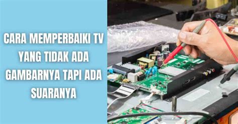 Jual produk binter cobra termurah dan terlengkap agustus 2023