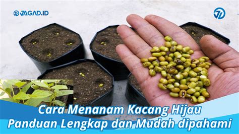 7 cara merawat clodi agar awet dan aman untuk kulit bayi