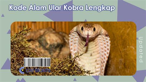 Cara mengetahui additional number togel singapore. Alam ular kobra hitam.