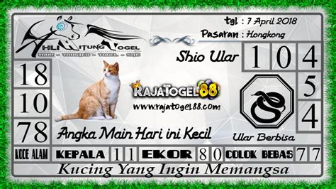 Cara menghitung togel bagi pemula. Kucing kode alam mimpi.