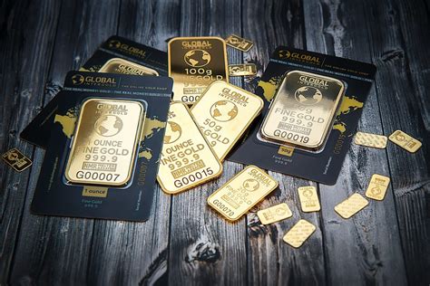 Gold coin perkutut pakan