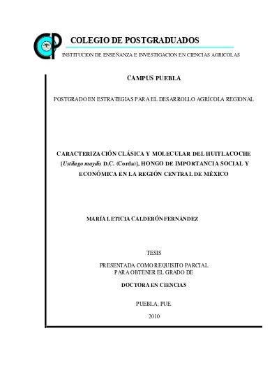 Caracterización clásica y molecular del huitlacoche [Ustilago …