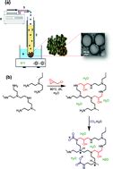 Carbon capture with polyethylenimine hydrogel beads (PEI HBs)