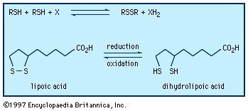 Carbon disulfide chemical compound Britannica