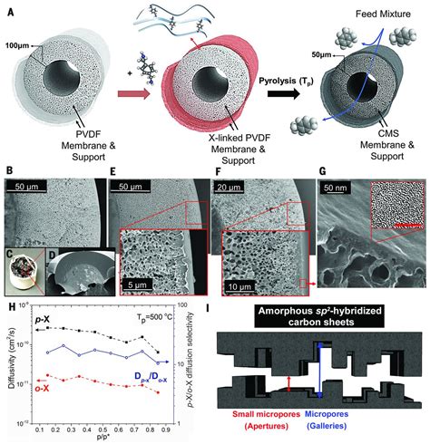 Carbon hollow fiber membranes for a molecular sieve …