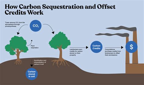 Carbon sequestration companies. Things To Know About Carbon sequestration companies. 