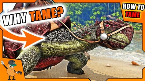 RELATED: Ark: Survival Ascended - How To Tame Triceratops Carbonemys will likely be one of the first dinosaurs you'll spot when you spawn into the game for the first time since they're quite common.. 