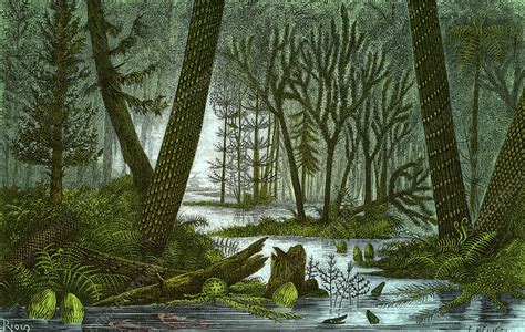 1 / 10 Carboniferous Swamp Characteristic of the Carboniferous period (from about 360 million to 300 million years ago) were its dense and swampy forests, which gave rise to large deposits of.... 