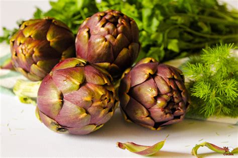 Carefully peel or cut away the fibrous outer layer, rub the artichoke with a cut, partially squeezed lemon to keep it from blackening, put it in a bowl of water with the juice of one lemon, and then trim the next artichoke. Continue until you have prepared all your artichokes . Come time to cook your artichokes, heat 3 inches (8 centimeters) of ...