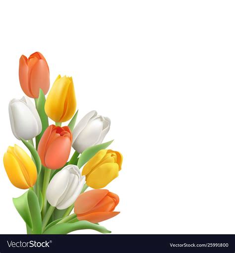 Card template with colorful tulips vector image on VectorStock in 2020