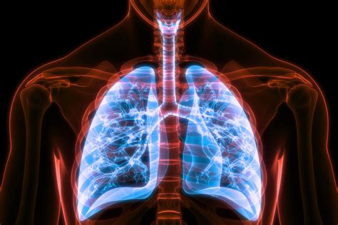 Carda health copd. Things To Know About Carda health copd. 