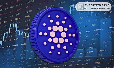 Cardano's On-Chain Metrics: A Validation of Growth