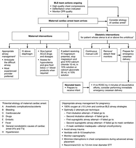 Cardiac Arrest in Pregnancy Circulation