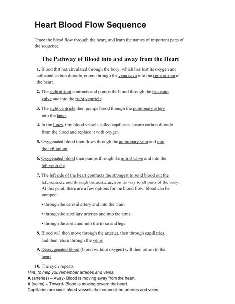 Cardiac Blood Flow A Circulatory Story Worksheet Answers Printable