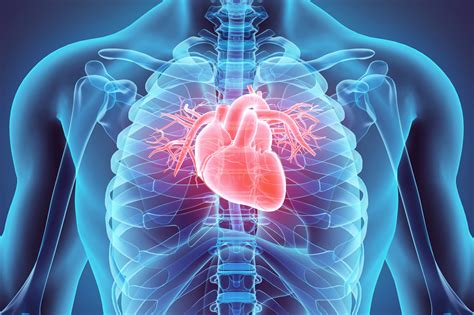 Cardiac Imaging & Stress Testing - Buffalo Medical Group