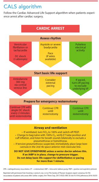 Cardiac advanced life support-surgical guideline: overview and ...