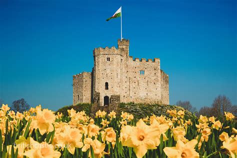 Cardiff cardiff castle. Things To Know About Cardiff cardiff castle. 