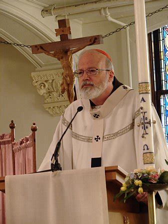 Cardinal Sean O’Malley authorizes special collection for Hawaii wildfire relief 