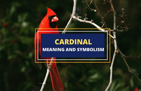 Cardinal Symbolism - is it luck, fortune, or more?