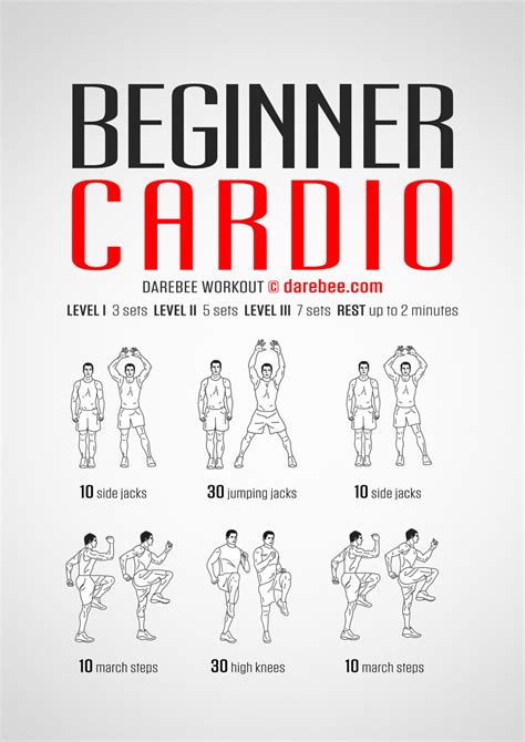Cardio Exercise and Training for Beginners