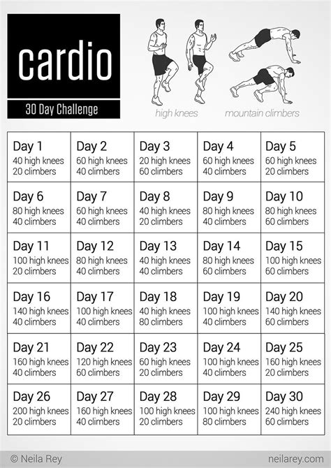 Cardio Workout Program for Weight Loss