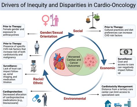 Cardio-Oncology & Amyloidosis Barnes-Jewish Hospital St.