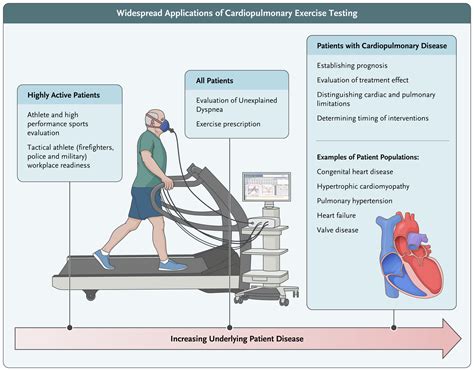 Cardiopulmonary Exercise Testing And Cardiovascular Health