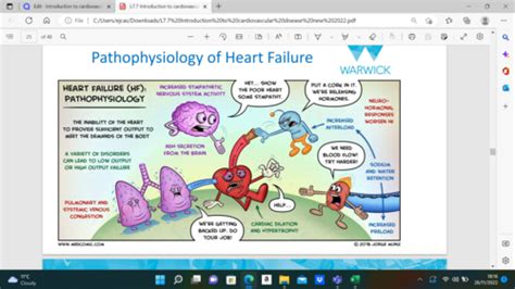 Cardiovascular Diseases Flashcards Quizlet