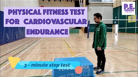 Cardiovascular Fitness and How to Test It