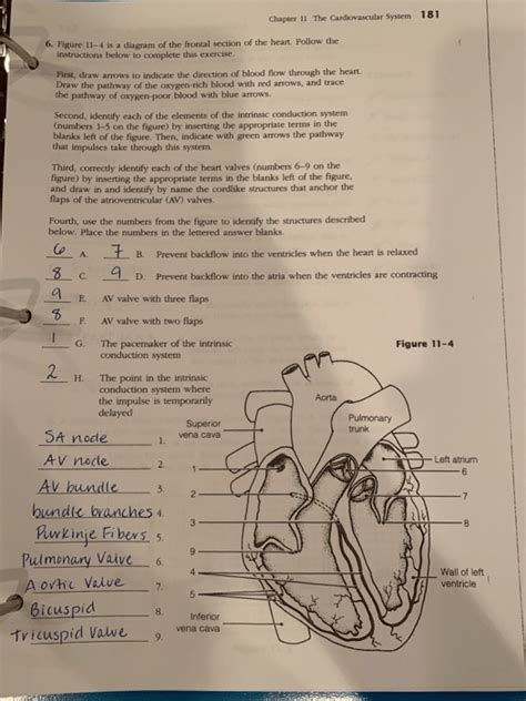Cardiovascular Packet Answers System