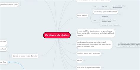 Cardiovascular System MindMeister Mind Map